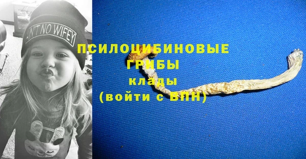 круглые Козельск